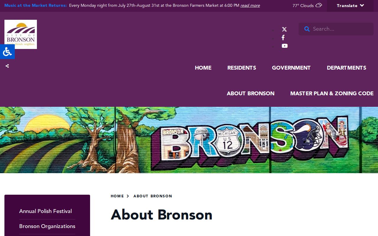 Bronson criminal history city records resource